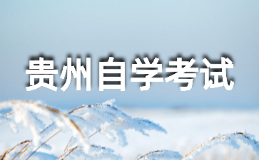 2024年10月贵州自考550101 艺术设计(专科)考试课程安排